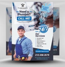 Business Flyer 2