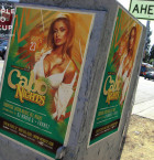 Cabo Nights Flyer