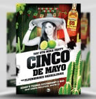 Cinco De Mayo Flyer