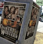Country and Western Flyer 2