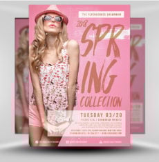 Spring Flyer v1
