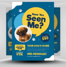 Lost Dog Flyer 2