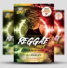 Reggae Night Flyer 1