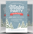 Rustic Winter Flyer